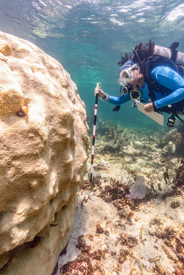 Coral-Bleaching--Photo-by-Valentina-Cucchiara-CORAL