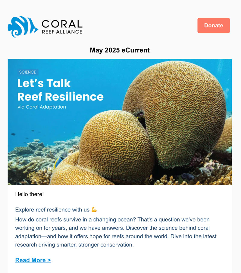 Dabble in the Science of it All