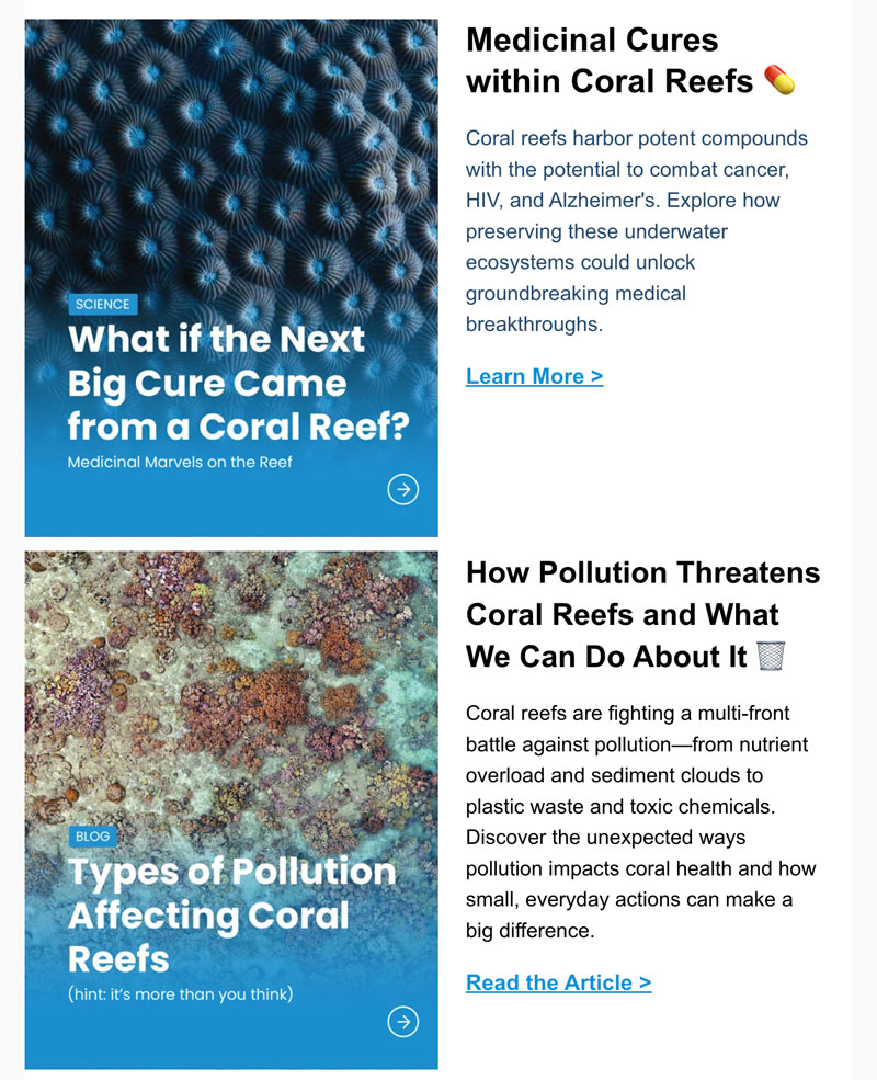 Education for Advocacy