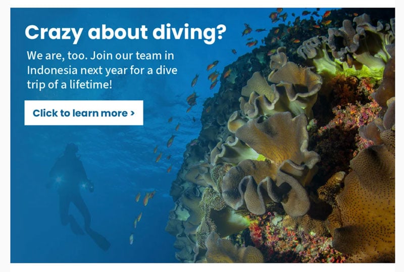 Get Invited on Exclusive Trips