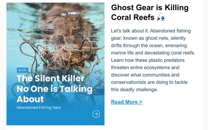 Learn About Big Issues