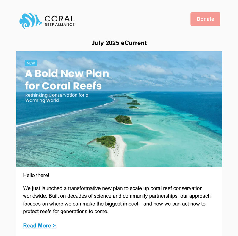 Stay Connected for Big Announcements