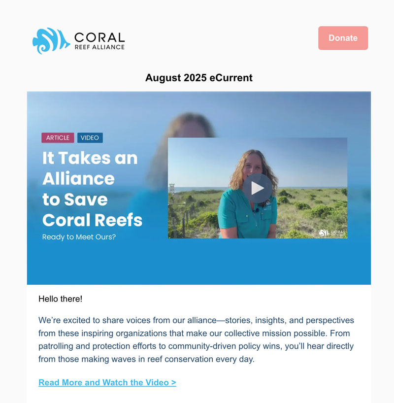 Support Our Campaigns